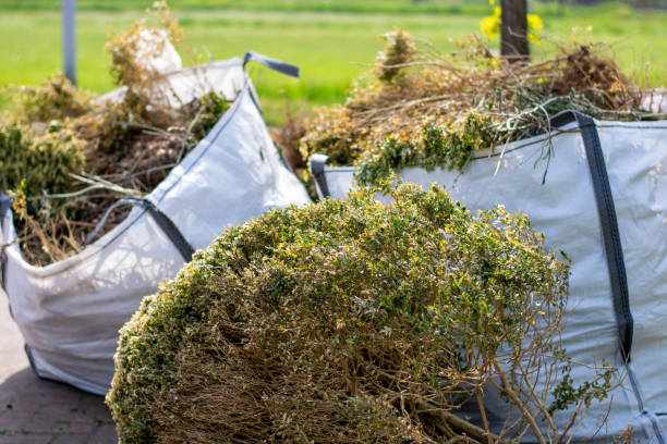Best Commercial Junk Removal  in Cascade Locks, OR